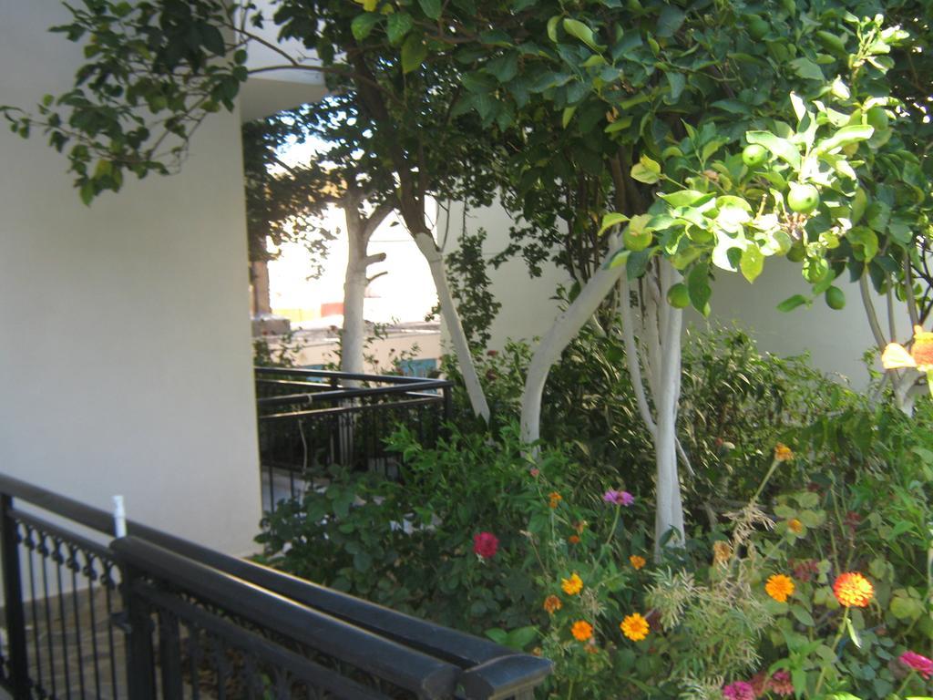 Hotel Friderica House à Poros  Chambre photo